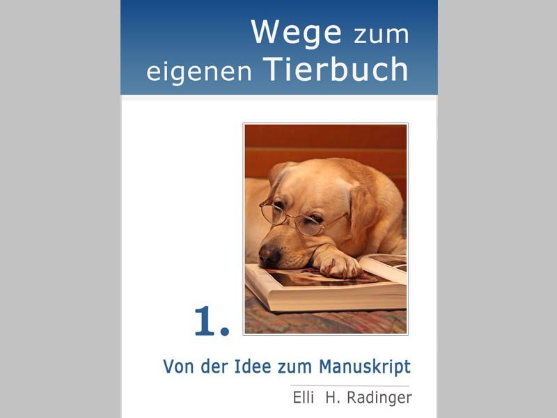 E-Book Cover für fünf E-Books